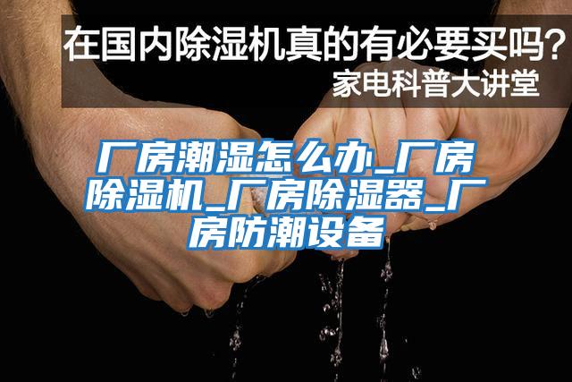 廠房潮濕怎么辦_廠房除濕機_廠房除濕器_廠房防潮設(shè)備