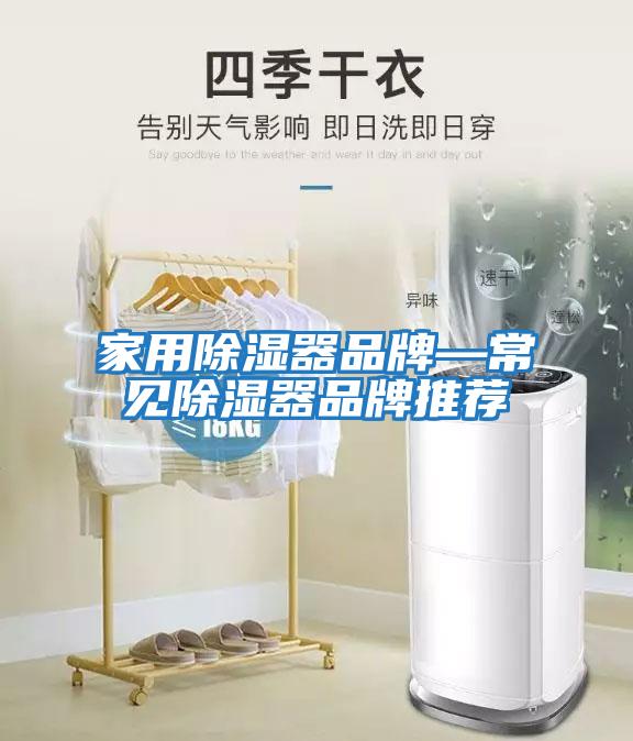 家用除濕器品牌—常見(jiàn)除濕器品牌推薦