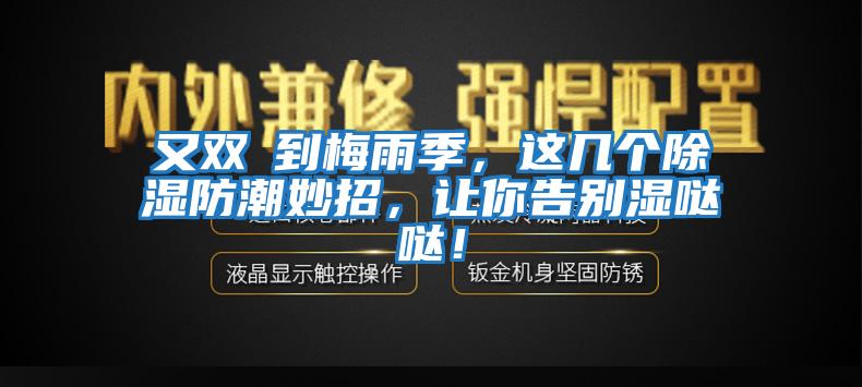 又雙叒到梅雨季，這幾個除濕防潮妙招，讓你告別濕噠噠！