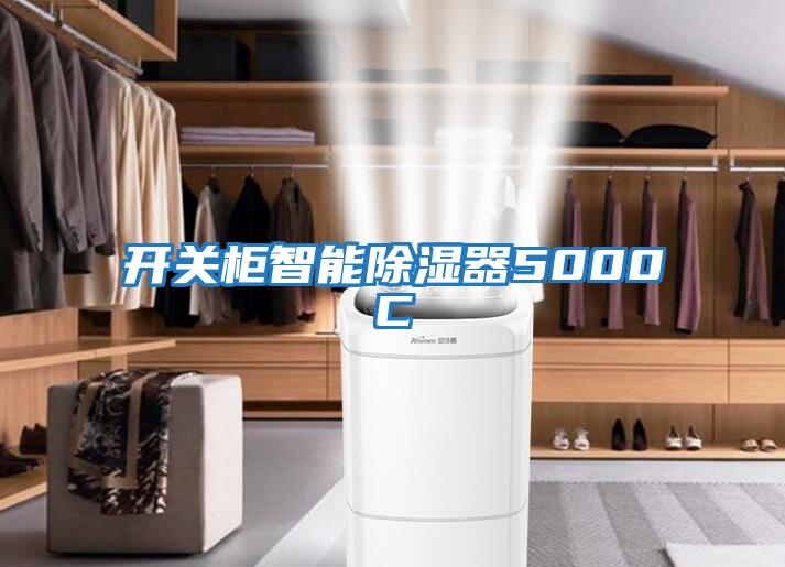 開關(guān)柜智能除濕器5000C