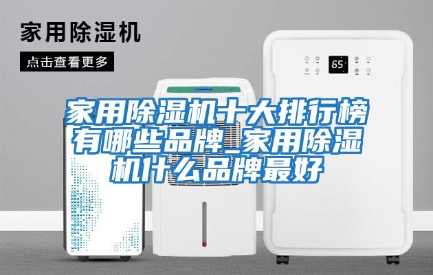 家用除濕機(jī)十大排行榜有哪些品牌_家用除濕機(jī)什么品牌最好