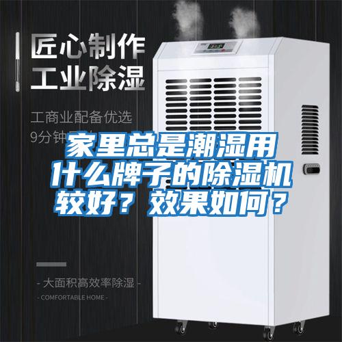 家里總是潮濕用什么牌子的除濕機較好？效果如何？