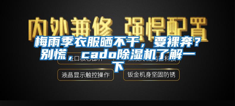 梅雨季衣服曬不干，要裸奔？別慌，cado除濕機(jī)了解一下