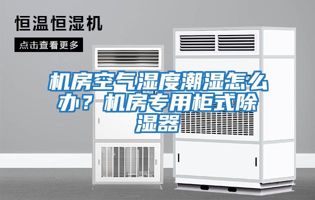 機房空氣濕度潮濕怎么辦？機房專用柜式除濕器