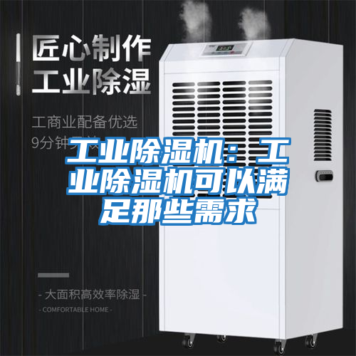 工業(yè)除濕機(jī)：工業(yè)除濕機(jī)可以滿足那些需求