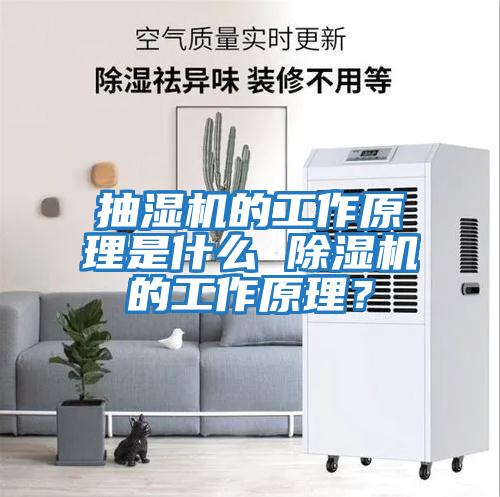 抽濕機的工作原理是什么 除濕機的工作原理？