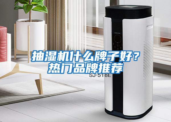 抽濕機什么牌子好？熱門品牌推薦