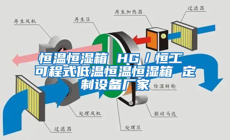 恒溫恒濕箱 HG／恒工 可程式低溫恒溫恒濕箱 定制設(shè)備廠家