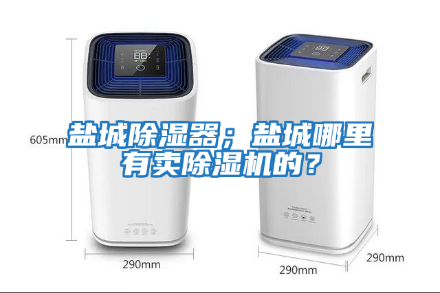 鹽城除濕器；鹽城哪里有賣除濕機的？