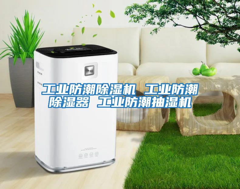 工業(yè)防潮除濕機 工業(yè)防潮除濕器 工業(yè)防潮抽濕機