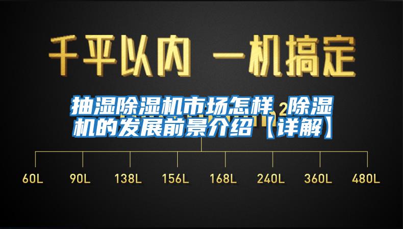 抽濕除濕機(jī)市場怎樣 除濕機(jī)的發(fā)展前景介紹【詳解】