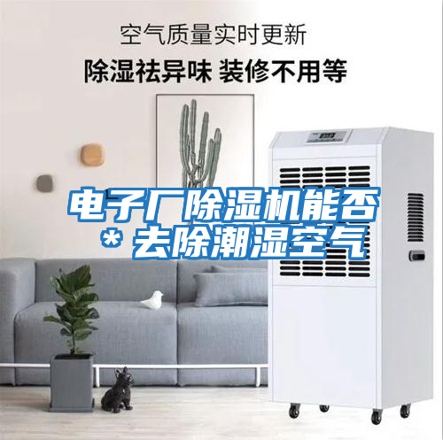 電子廠除濕機(jī)能否＊去除潮濕空氣