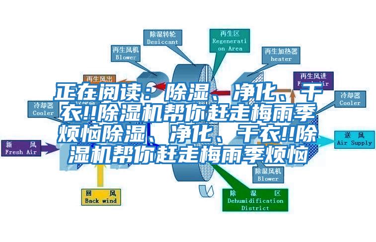 正在閱讀：除濕、凈化、干衣!!除濕機幫你趕走梅雨季煩惱除濕、凈化、干衣!!除濕機幫你趕走梅雨季煩惱