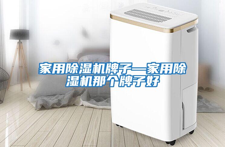 家用除濕機牌子—家用除濕機那個牌子好