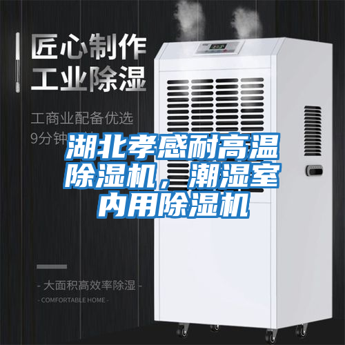 湖北孝感耐高溫除濕機(jī)，潮濕室內(nèi)用除濕機(jī)