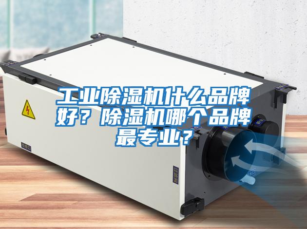 工業(yè)除濕機什么品牌好？除濕機哪個品牌最專業(yè)？