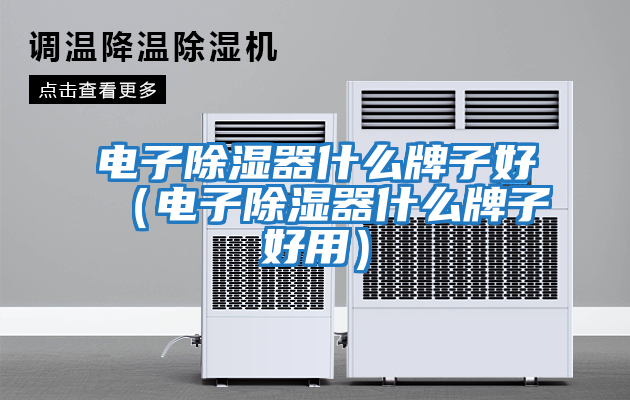 電子除濕器什么牌子好（電子除濕器什么牌子好用）