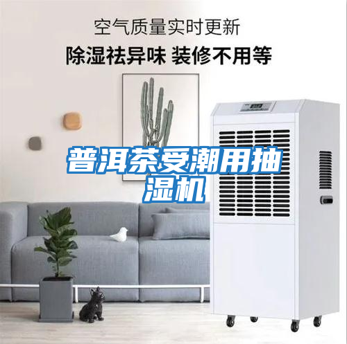 普洱茶受潮用抽濕機