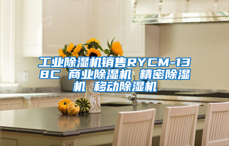 工業(yè)除濕機銷售RYCM-138C 商業(yè)除濕機 精密除濕機 移動除濕機