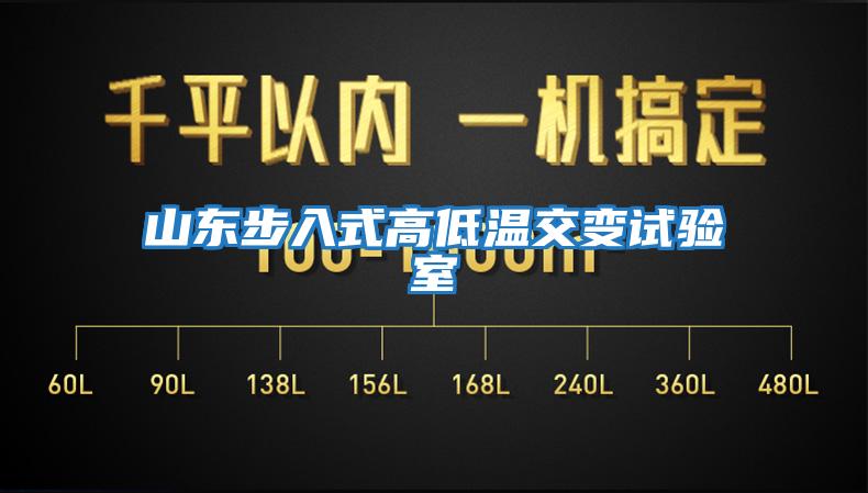 山東步入式高低溫交變試驗(yàn)室