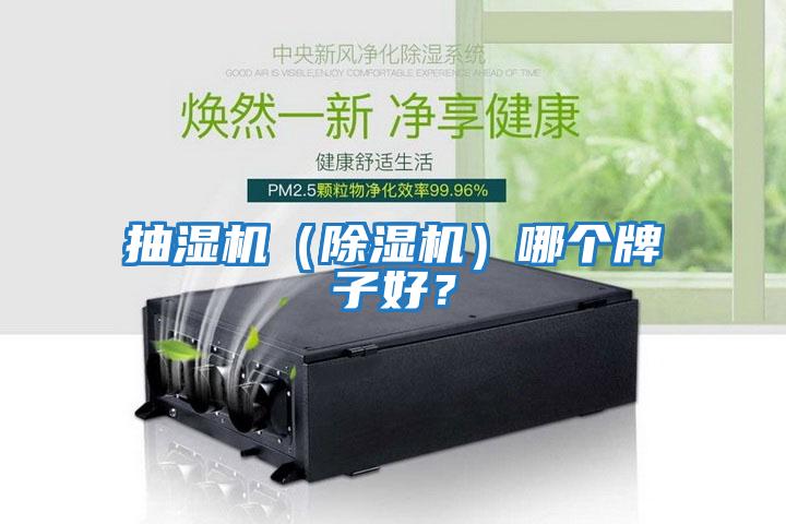 抽濕機（除濕機）哪個牌子好？