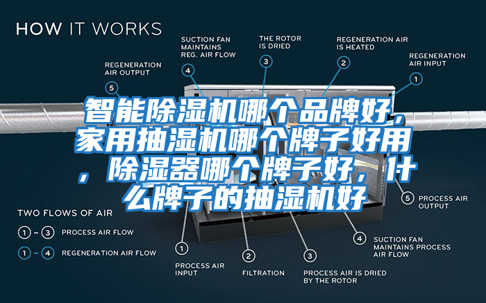 智能除濕機哪個品牌好，家用抽濕機哪個牌子好用，除濕器哪個牌子好，什么牌子的抽濕機好