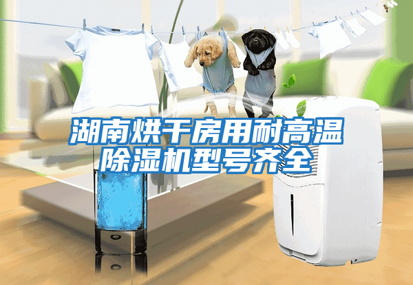 湖南烘干房用耐高溫除濕機型號齊全