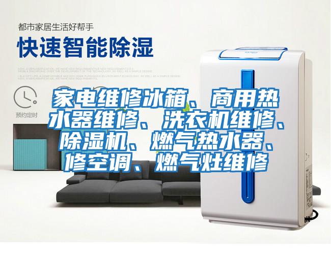 家電維修冰箱、商用熱水器維修、洗衣機維修、除濕機、燃氣熱水器、修空調(diào)、燃氣灶維修