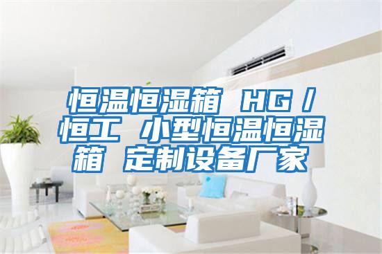 恒溫恒濕箱 HG／恒工 小型恒溫恒濕箱 定制設(shè)備廠家