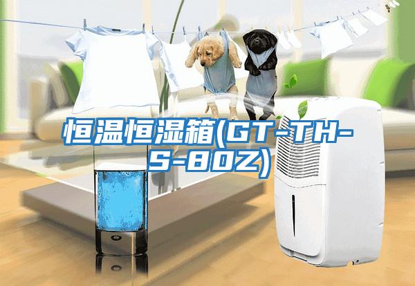 恒溫恒濕箱(GT-TH-S-80Z)