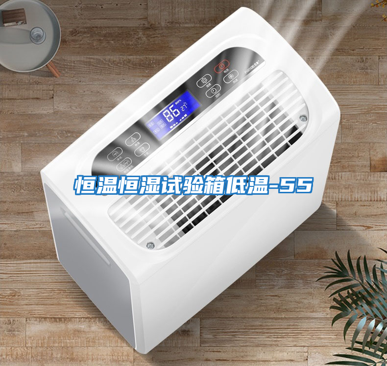 恒溫恒濕試驗箱低溫-55℃