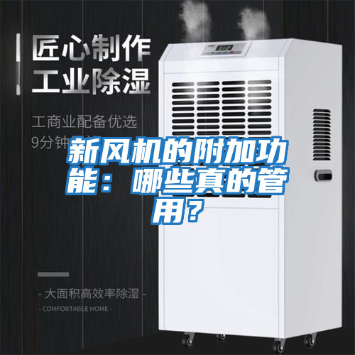 新風機的附加功能：哪些真的管用？