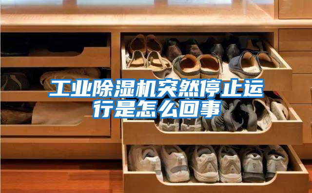 工業(yè)除濕機突然停止運行是怎么回事