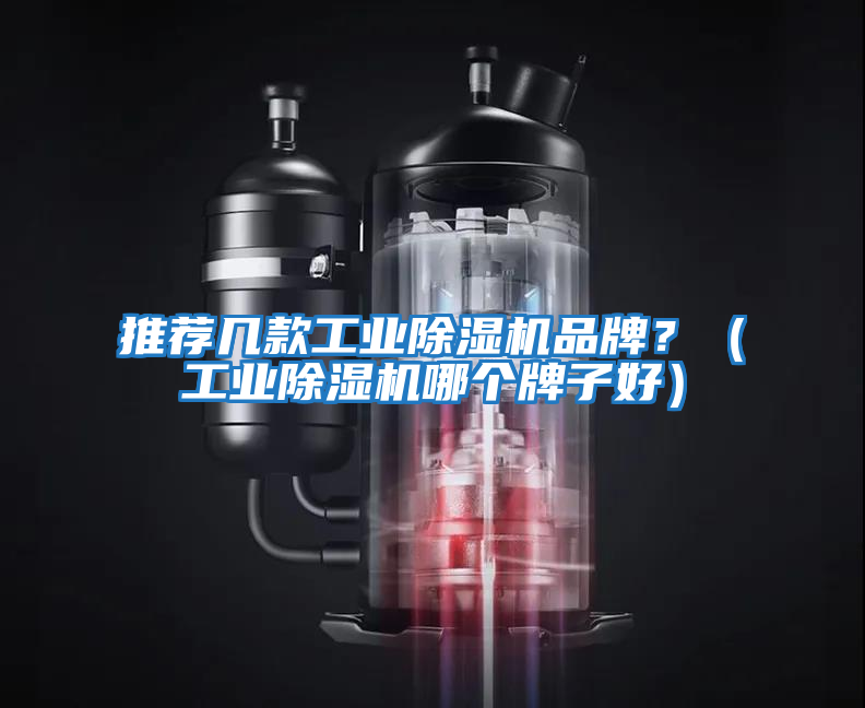 推薦幾款工業(yè)除濕機品牌？（工業(yè)除濕機哪個牌子好）