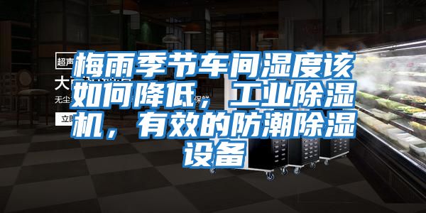 梅雨季節(jié)車間濕度該如何降低，工業(yè)除濕機(jī)，有效的防潮除濕設(shè)備