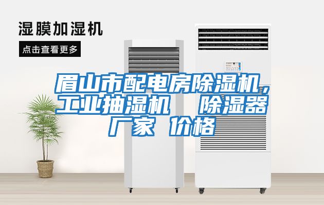 眉山市配電房除濕機，工業(yè)抽濕機  除濕器廠家 價格