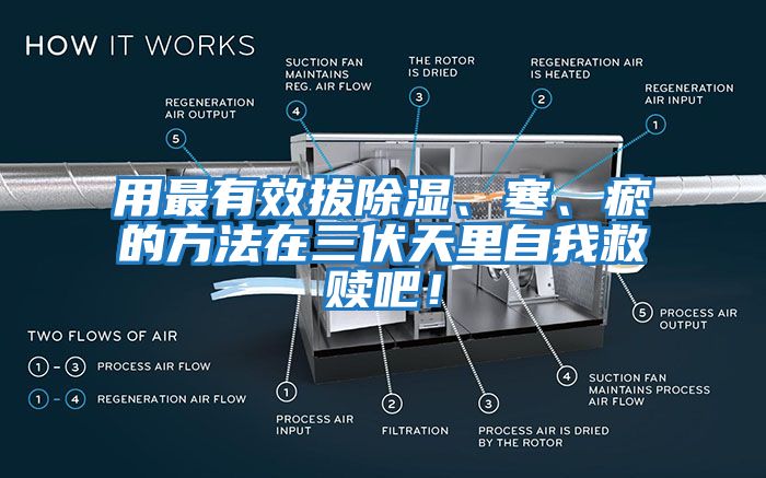 用最有效拔除濕、寒、瘀的方法在三伏天里自我救贖吧！