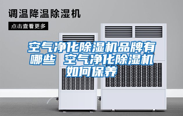 空氣凈化除濕機品牌有哪些 空氣凈化除濕機如何保養(yǎng)