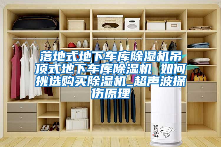 落地式地下車庫除濕機吊頂式地下車庫除濕機 如何挑選購買除濕機_超聲波探傷原理