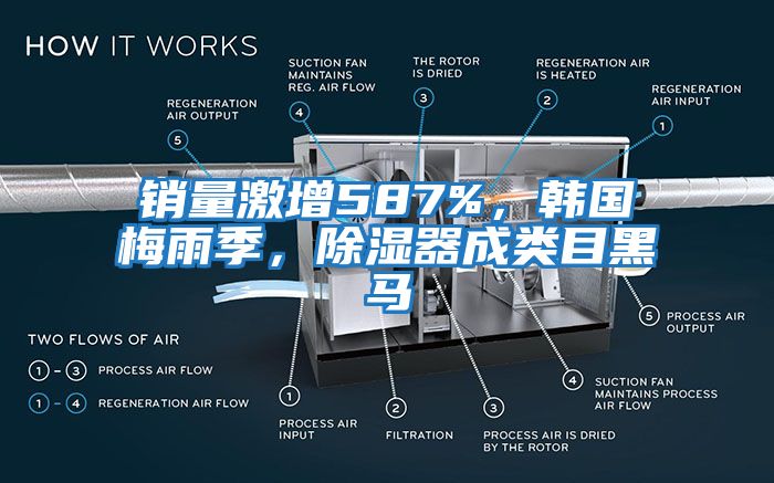 銷量激增587%，韓國梅雨季，除濕器成類目黑馬