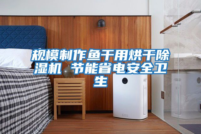 規(guī)模制作魚干用烘干除濕機 節(jié)能省電安全衛(wèi)生