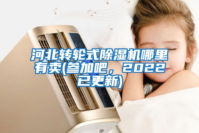 河北轉(zhuǎn)輪式除濕機哪里有賣(參加吧，2022已更新)