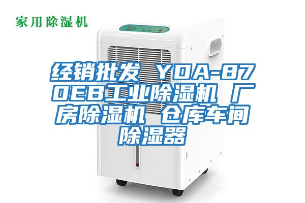 經(jīng)銷批發(fā) YDA-870EB工業(yè)除濕機(jī) 廠房除濕機(jī) 倉(cāng)庫(kù)車間除濕器