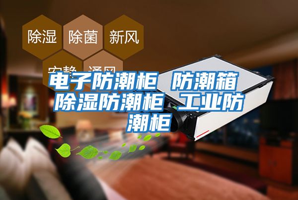 電子防潮柜 防潮箱 除濕防潮柜 工業(yè)防潮柜