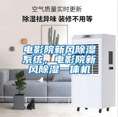 電影院新風(fēng)除濕系統(tǒng)，電影院新風(fēng)除濕一體機