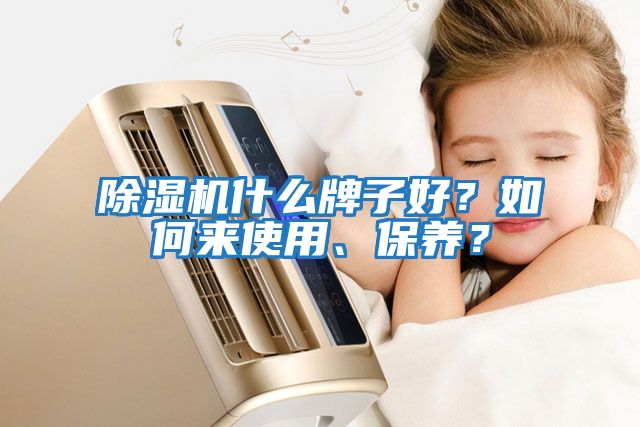 除濕機(jī)什么牌子好？如何來使用、保養(yǎng)？