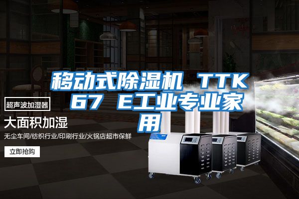 移動(dòng)式除濕機(jī) TTK 67 E工業(yè)專業(yè)家用