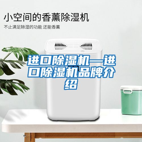 進(jìn)口除濕機(jī)—進(jìn)口除濕機(jī)品牌介紹