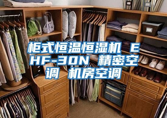 柜式恒溫恒濕機(jī) EHF-30N 精密空調(diào) 機(jī)房空調(diào)