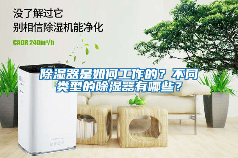 除濕器是如何工作的？不同類(lèi)型的除濕器有哪些？